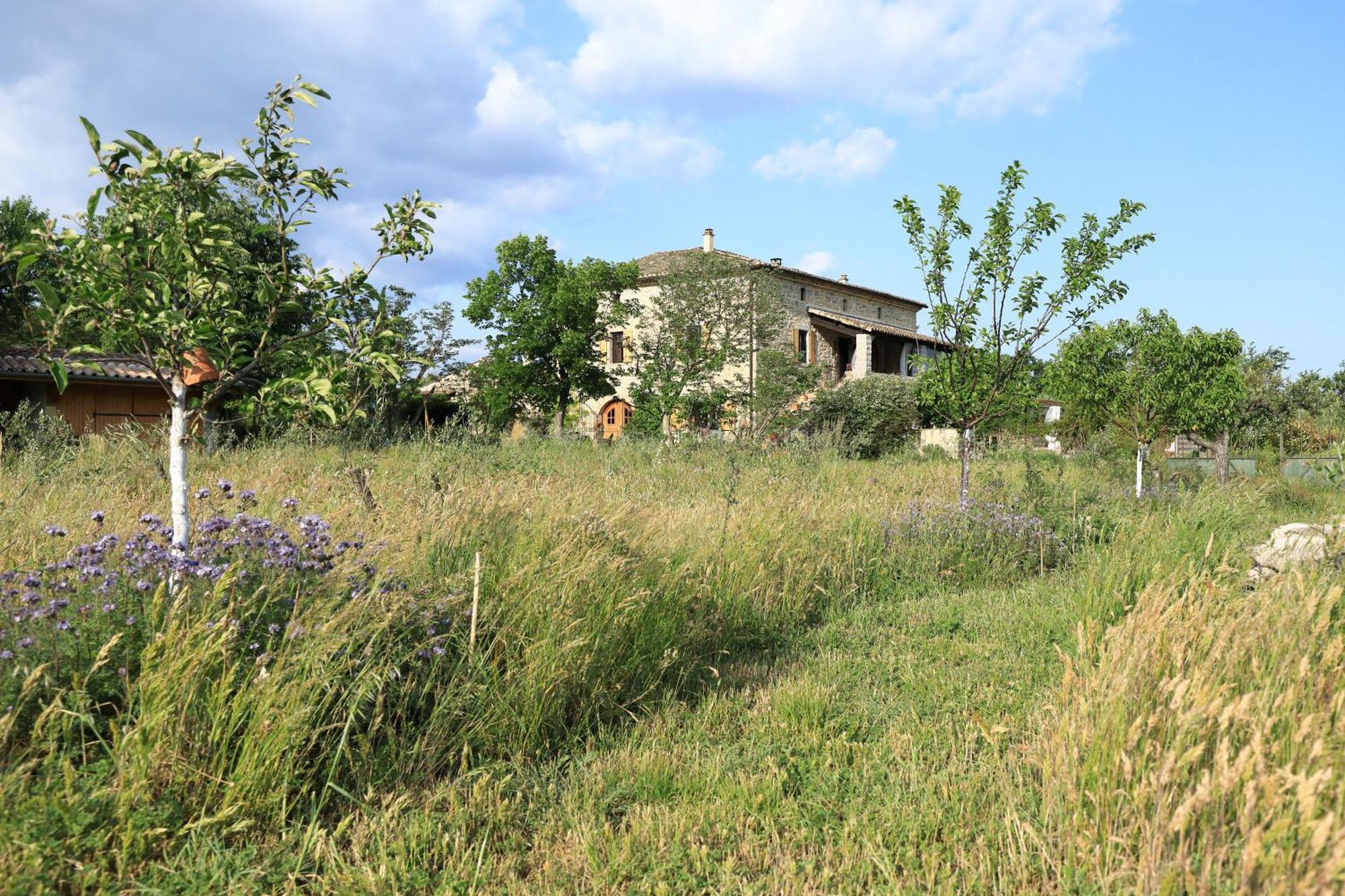 La Gourmandine Hotel Courry Екстериор снимка